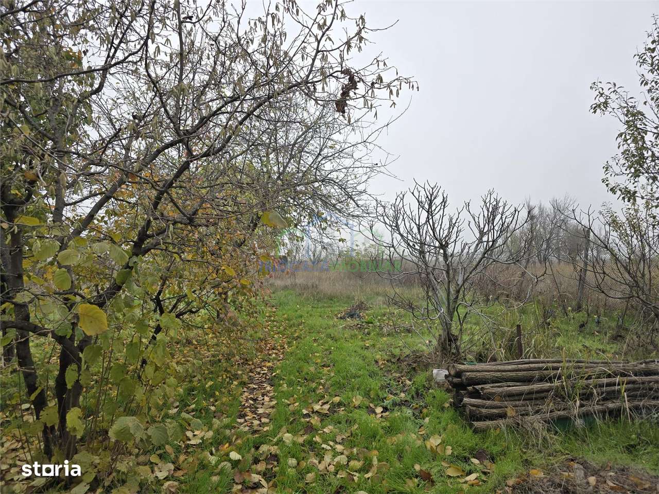 Csa la Gri si Hala - Imagine principală: 5/10