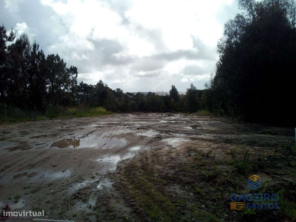 Terreno para construção. - Grande imagem: 5/7