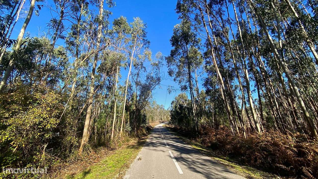 Terreno  para venda - Grande imagem: 4/16