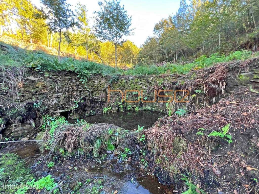Quinta Isolada com Margem de Rio e Potencial de Eco-Retiro - Arouca-35