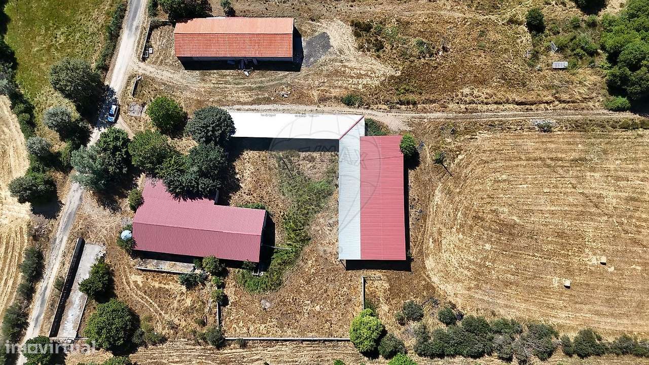 Armazém  para venda-13