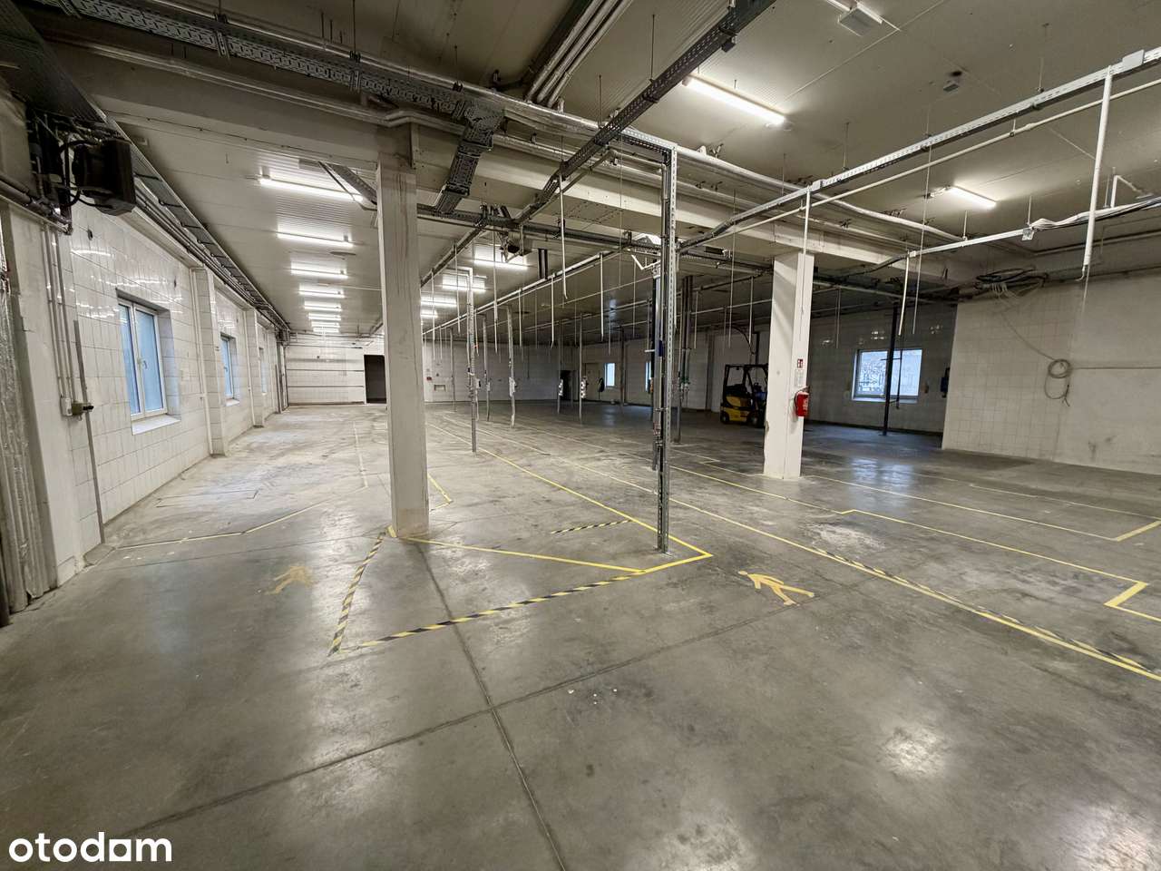 Hala produkcyjno-magazynowa z biurami | 1362 m² | Teofilów Przemysłowy - Pełny obrazek: 1/20