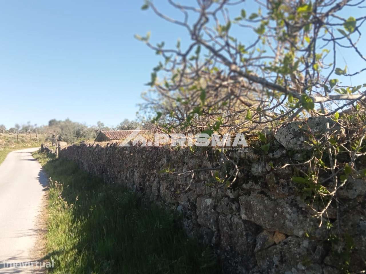 Quintinha para venda em Tinalhas, Castelo Branco-15