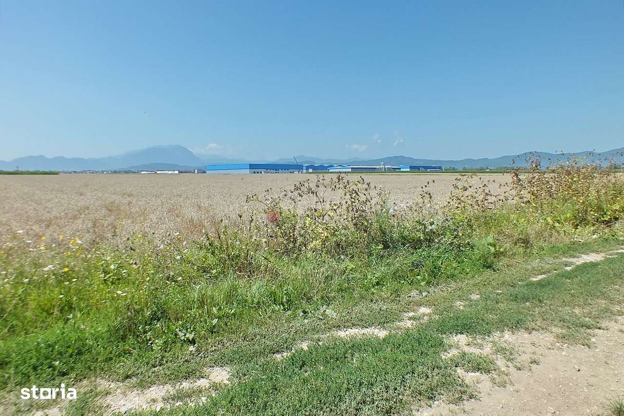 Pretabil Investitie - Imagine principală: 2/6