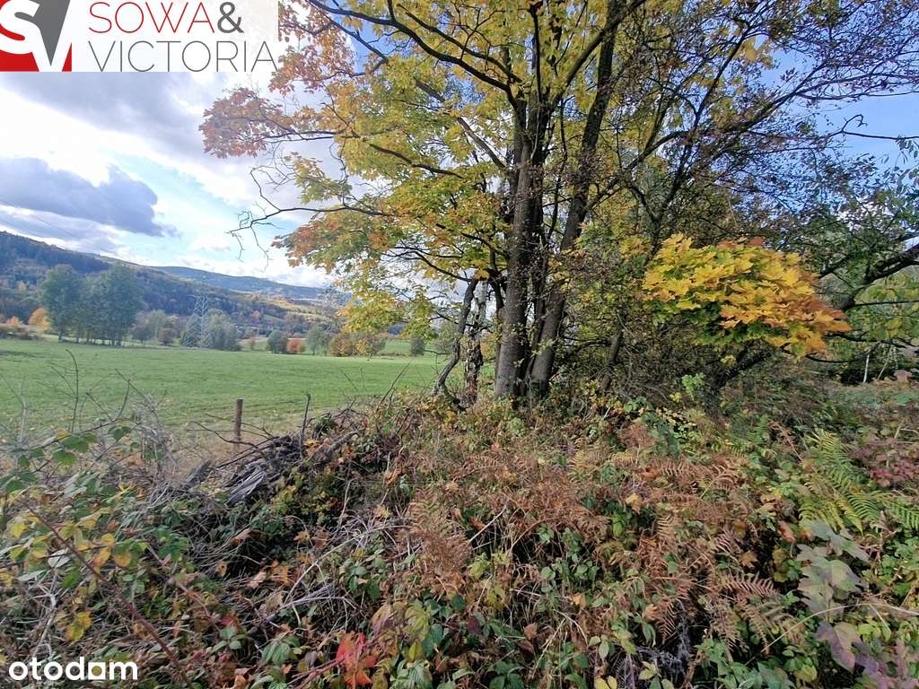 Z widokiem na góry, z możliwością WZ - Pełny obrazek: 3/12