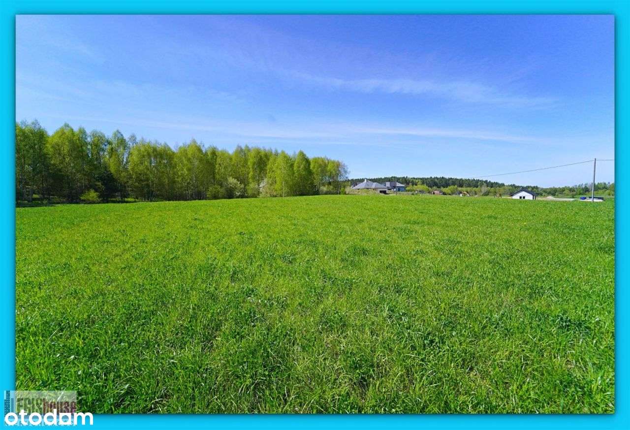 Różnowo* 3004 m2* możliwość podziału na 2 działki-6