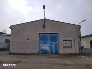 BEZPOŚREDNIO, magazyn o pow. 394 m² - Pełny obrazek: 2/9