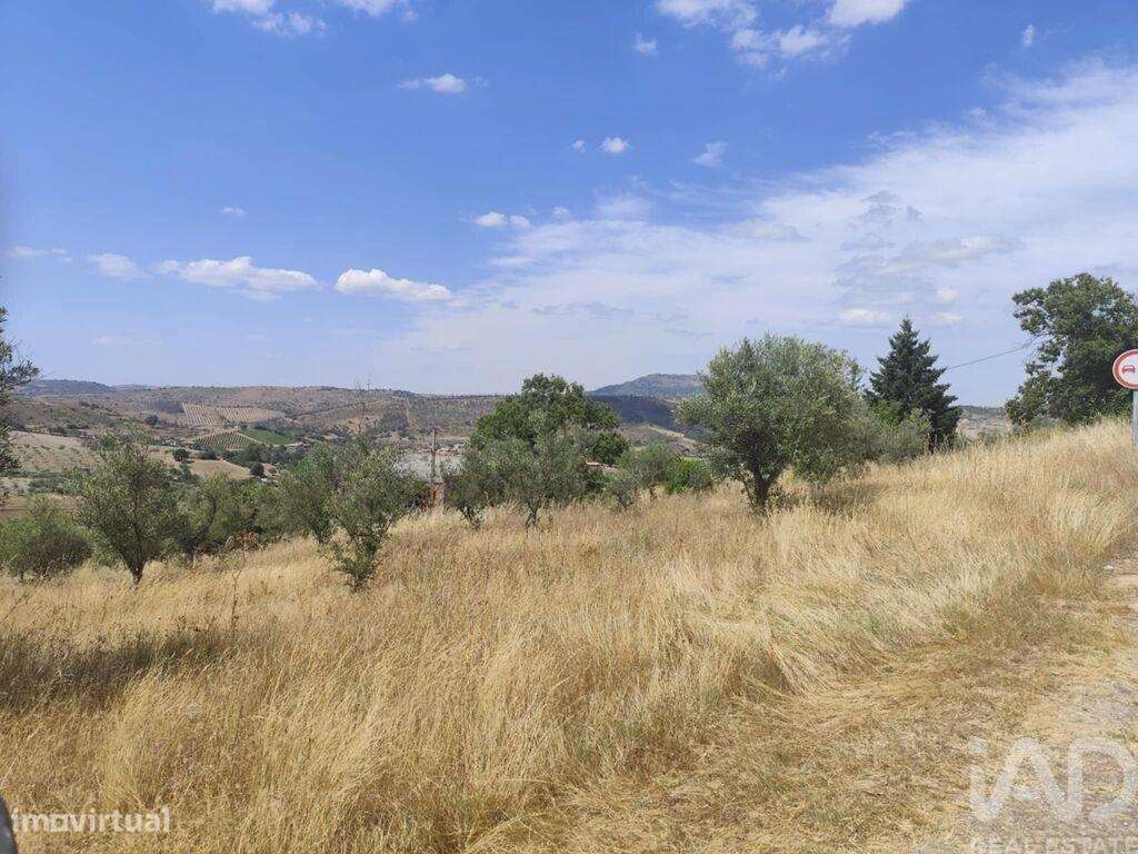 Casa T2 em Castelo Branco de 144,00 m2 - Grande imagem: 5/30