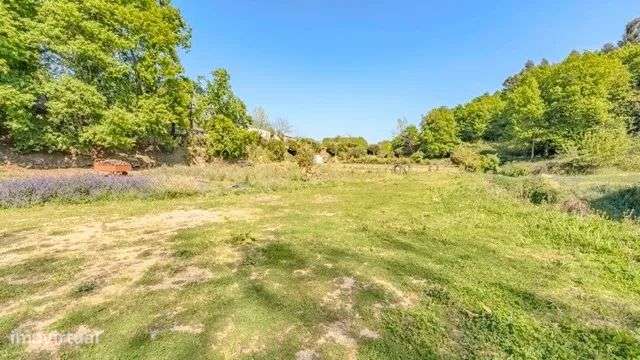 Quinta Exclusiva em Abação – Refúgio com 14.000 m²-20