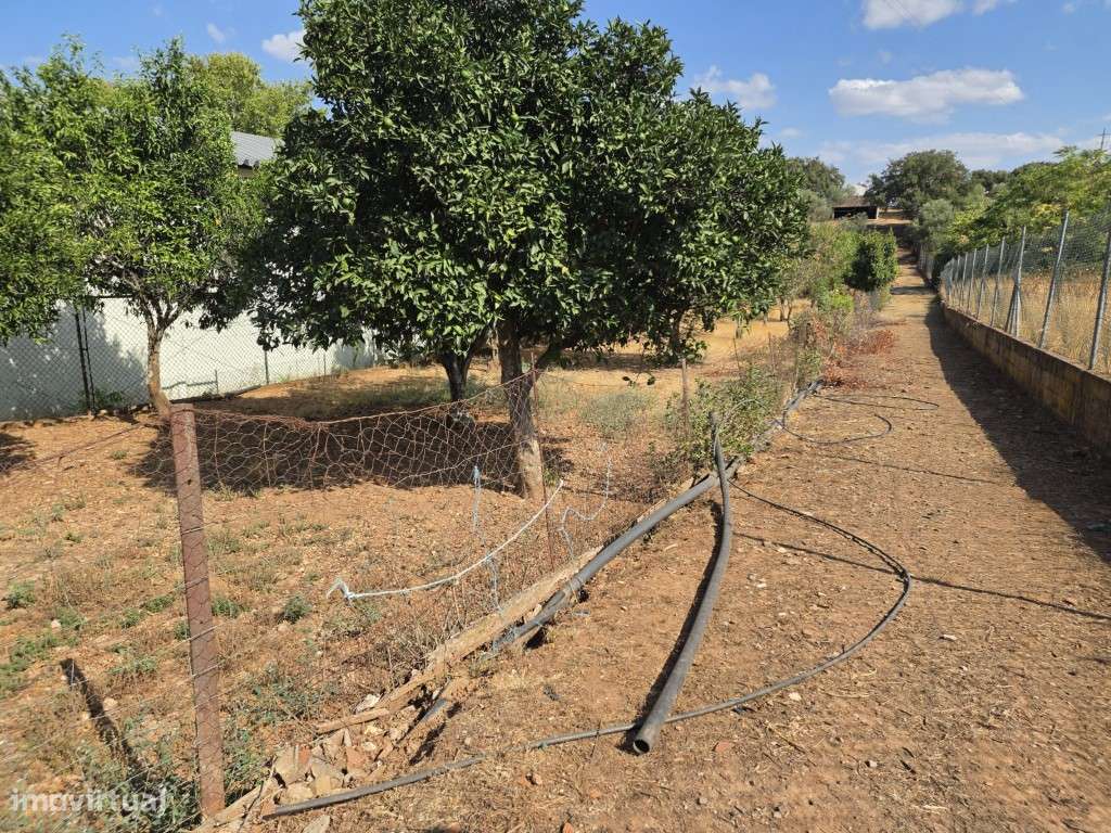 Moradia T3 em Vila Viçosa, com garagem, inserida em lote de 3500 m2-6