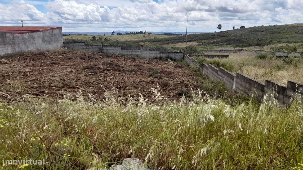 Terreno Para Construção  Venda em Castelo Branco,Castelo Branco-4