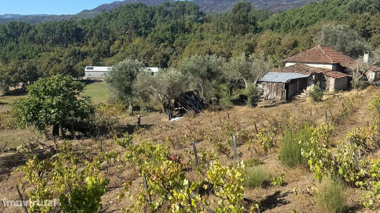 Quinta de 12.200m2 com Potencial Ilimitado, em Lordelo - Vila Real - Grande imagem: 5/11