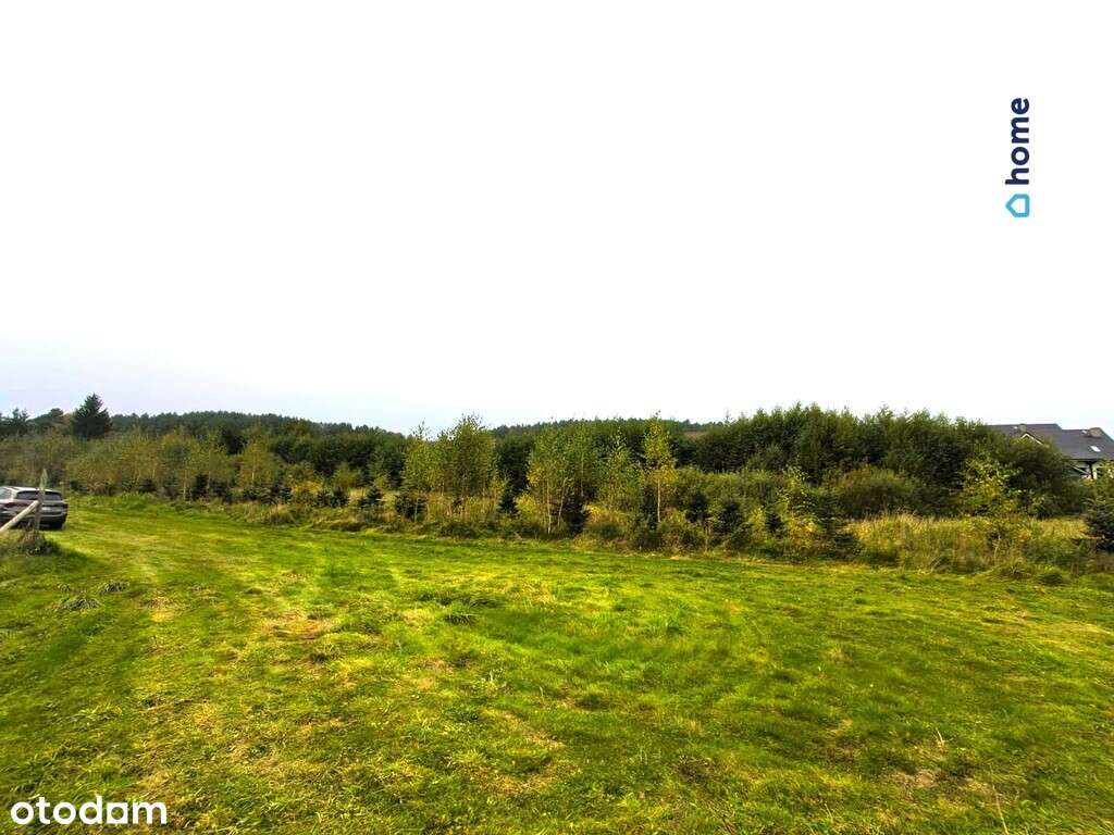 Działki z warunkami zabudoww Marcinkowie gm. Purda - Pełny obrazek: 3/4