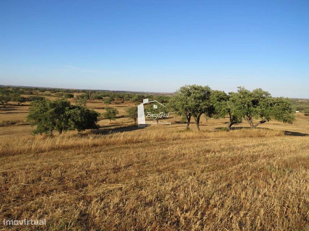 Terreno Rústico com 39.100m2 perto da Barragem da Rocha - Grande imagem: 5/16