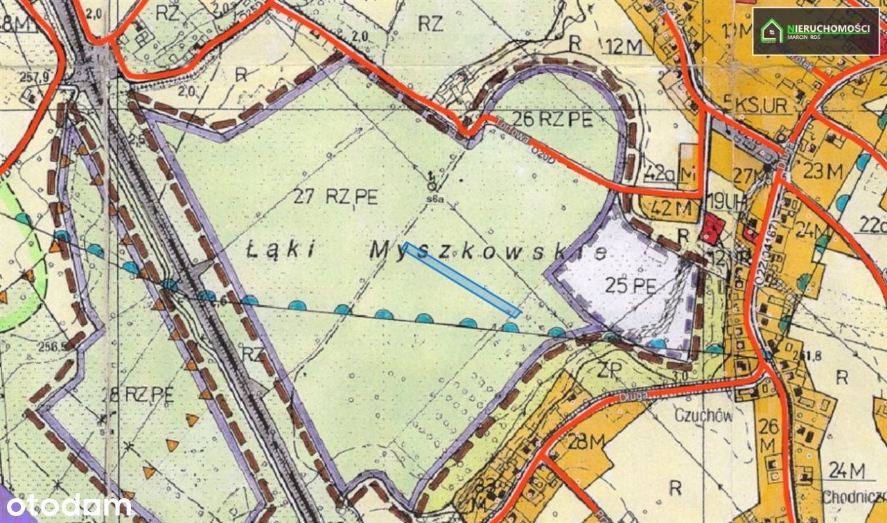 "Łąki Myszkowskie"- teren pod ekspoatację torfu
