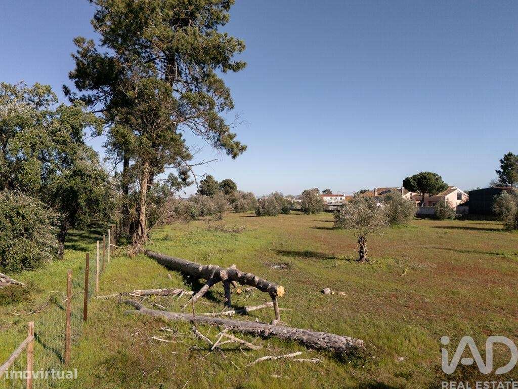 Terreno para construção em Azeitão - Grande imagem: 4/24