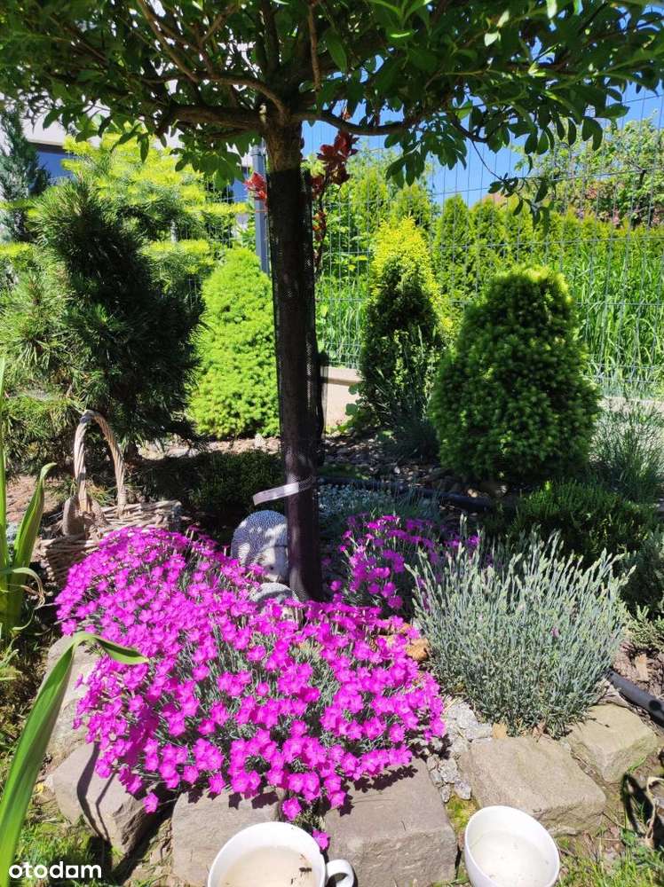 APARTAMENT Z OGRODEM, GARAŻEM I 3 MIEJSCAMI – BIELSKO-BIAŁA / KOZY-17