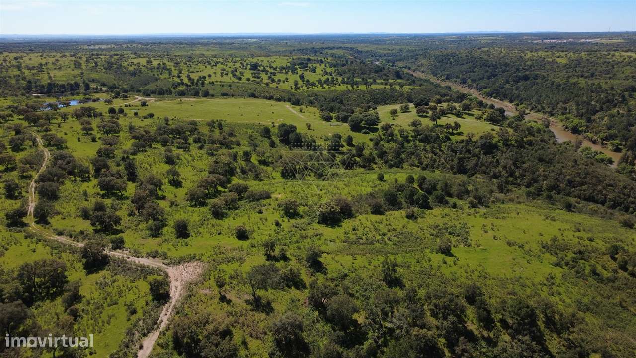 Herdade  Venda em Figueira dos Cavaleiros,Ferreira do Alentejo-7
