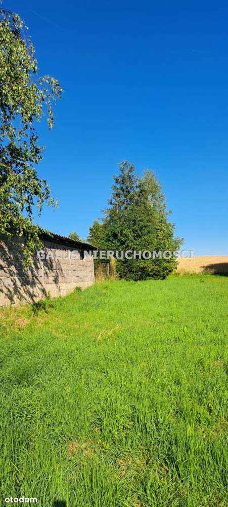 Działka rolna 2,5200 Ha i gospodarstwo-11