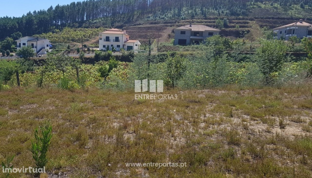 Venda Terreno, Chapa, Amarante