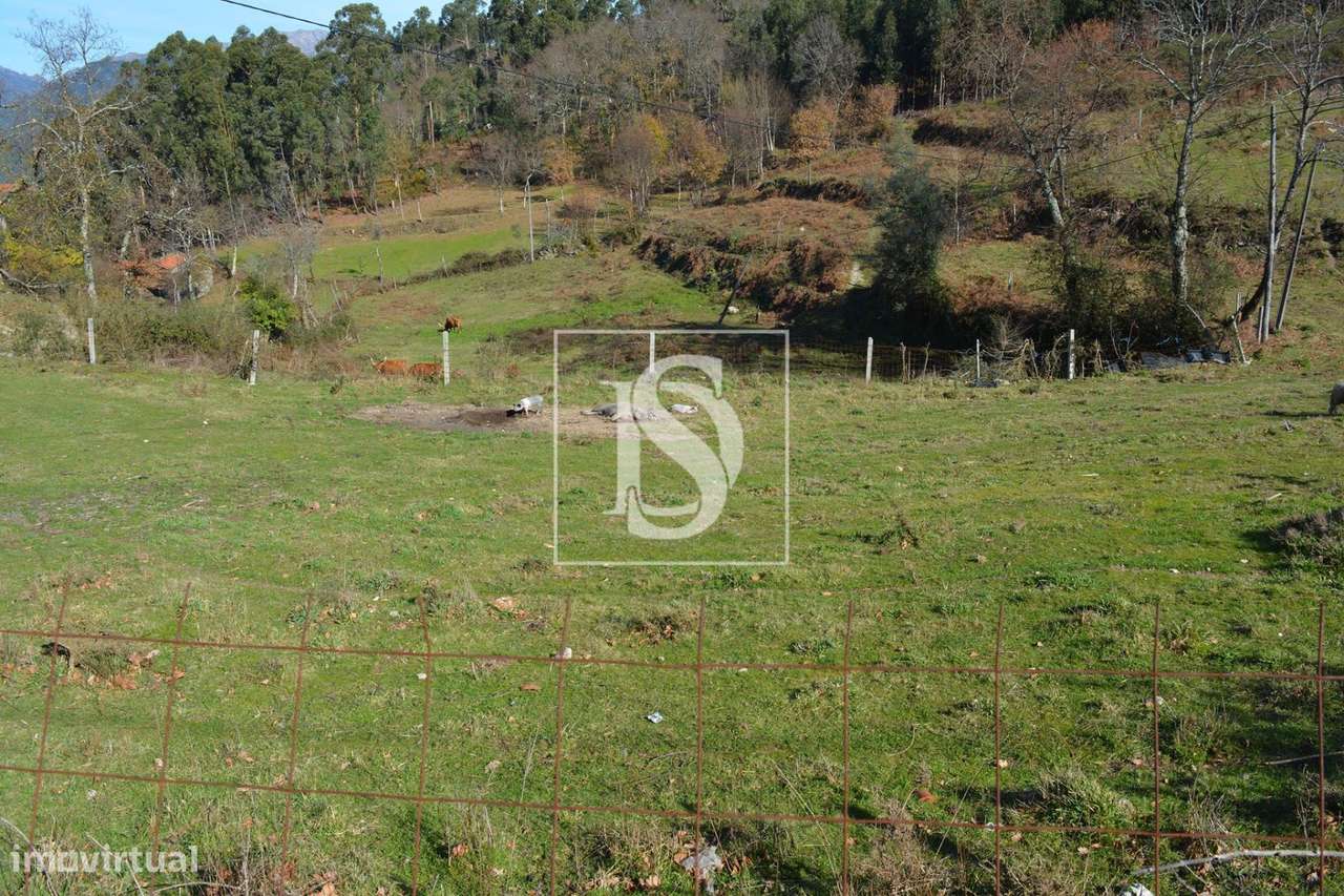 Terreno  Venda em Caniçada e Soengas,Vieira do Minho - Grande imagem: 2/12
