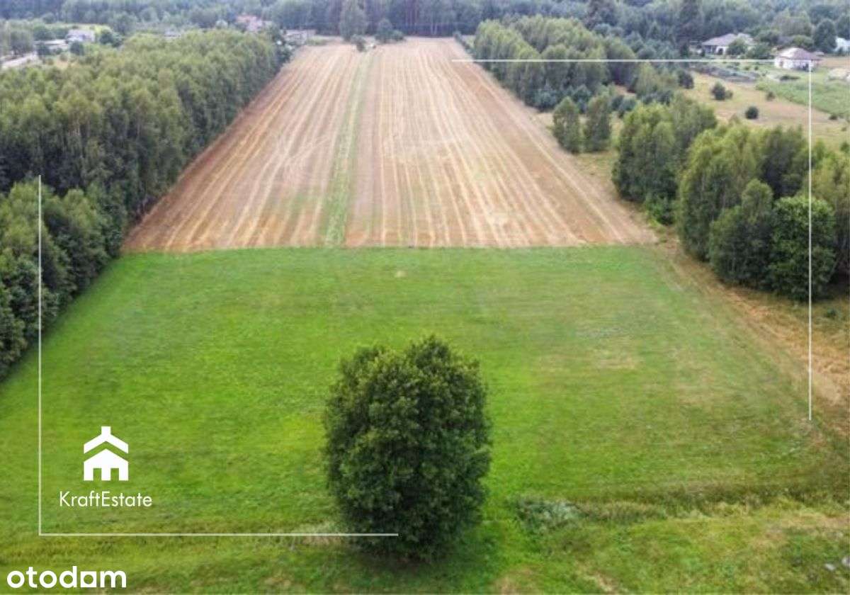 Duża działka budowlana przy lesie inwestycyjna - Pełny obrazek: 5/9