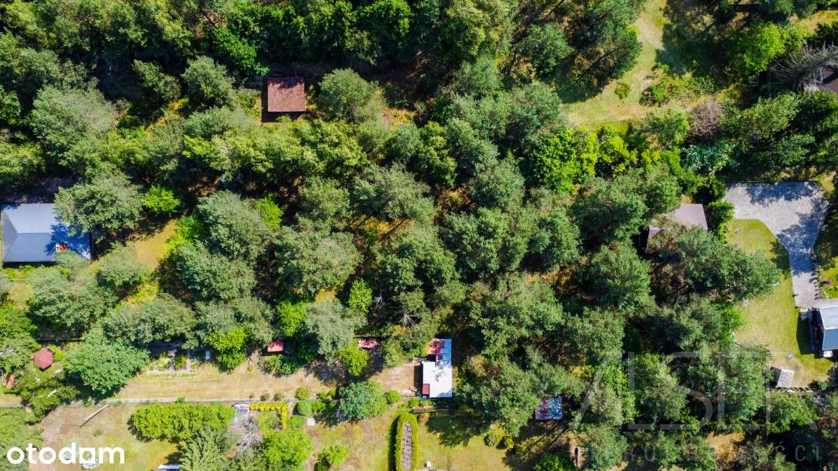 Działka budowlana w Szuminie | z wydanymi wz - Pełny obrazek: 4/14