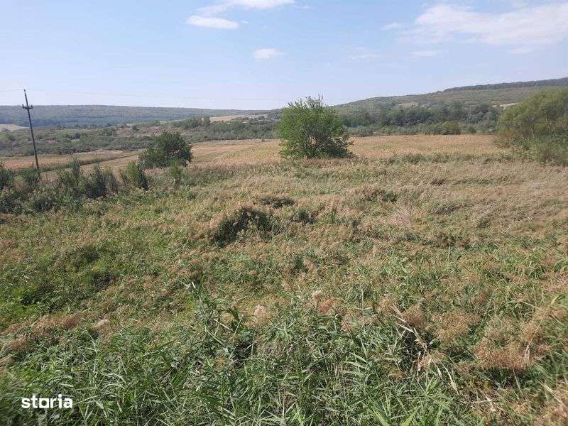 Teren cu lac 2700mp - Imagine principală: 4/6