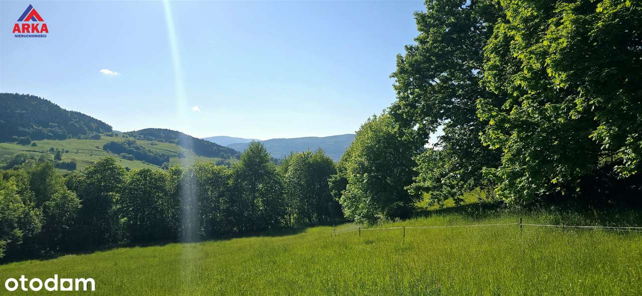 2,62 ha gruntów rolnych | Stróża | tylko 900 zł/ar-2