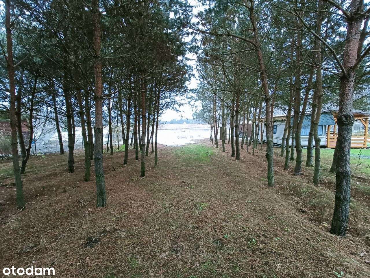 Działka nad jeziorem z linią brzegową, pomostem - Pełny obrazek: 4/13