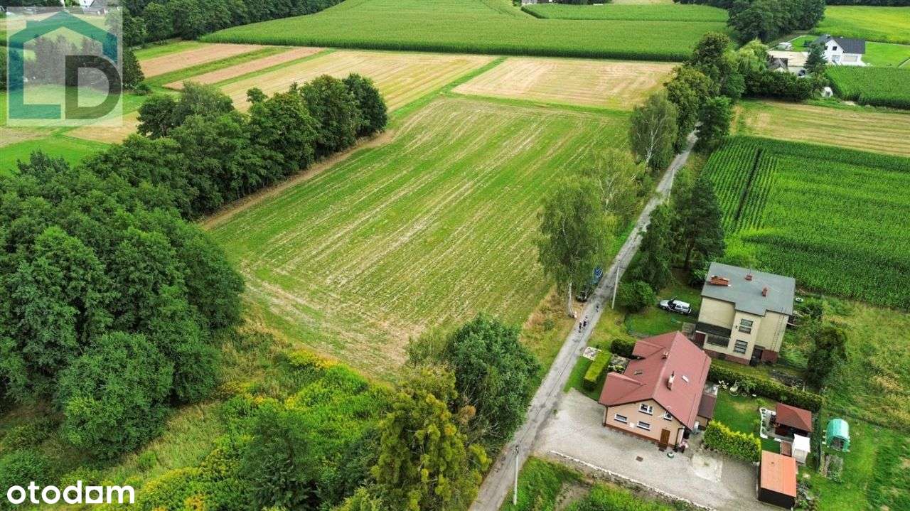 Działka, 1 064 m², Mnich - Pełny obrazek: 4/11