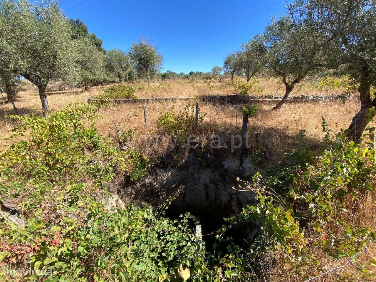 Quintinha / Fundão, Castelo Novo - Grande imagem: 4/11