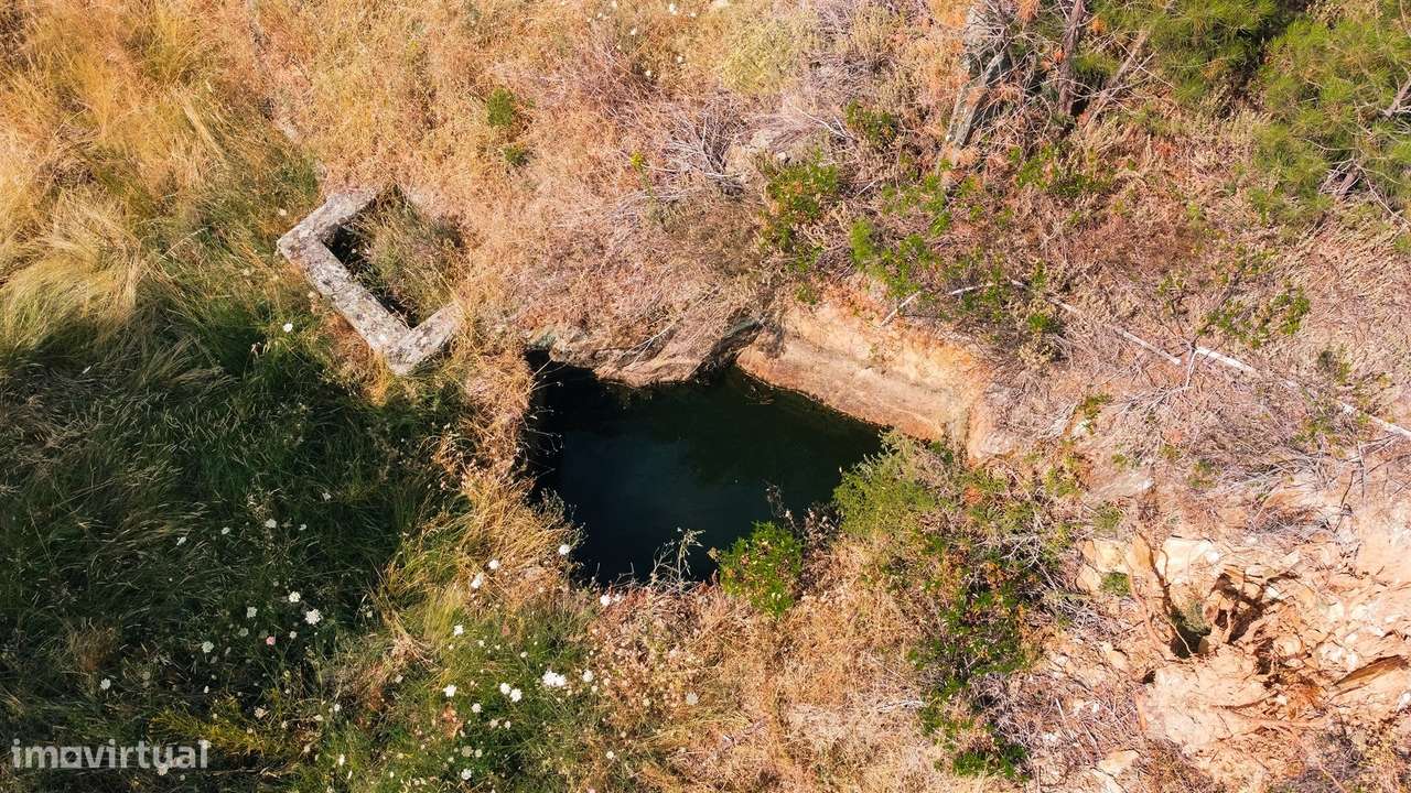Quinta T0 Venda em Santo André das Tojeiras,Castelo Branco-7