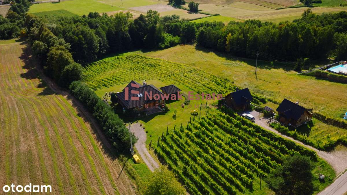 Winnica & Agroturystyka | gotowy biznes-9