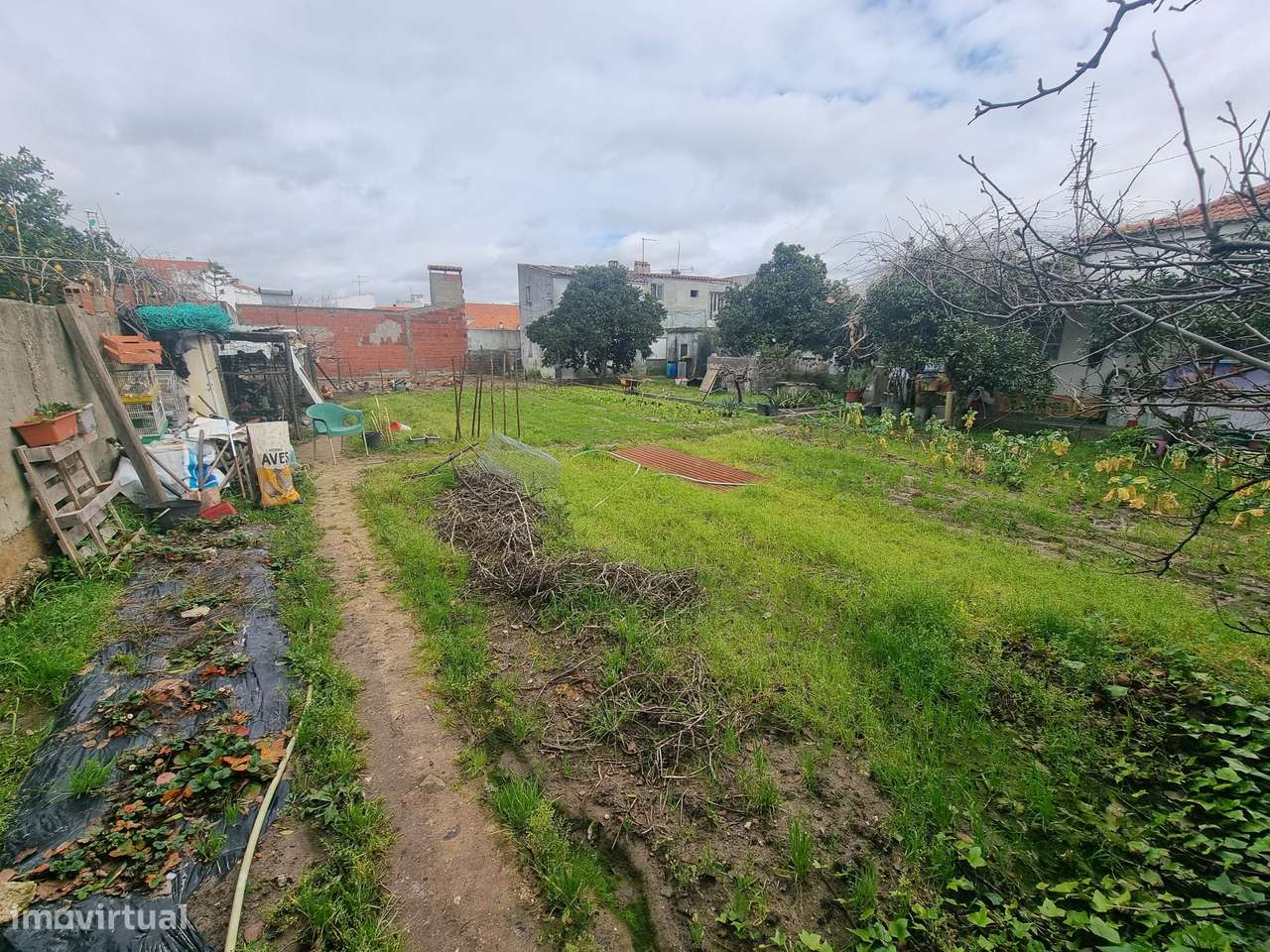 Terreno Urbano – Grândola-4