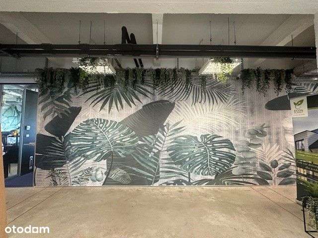 Powierzchnia biurowa - atrakcyjne warunki Mokotów - Pełny obrazek: 3/15