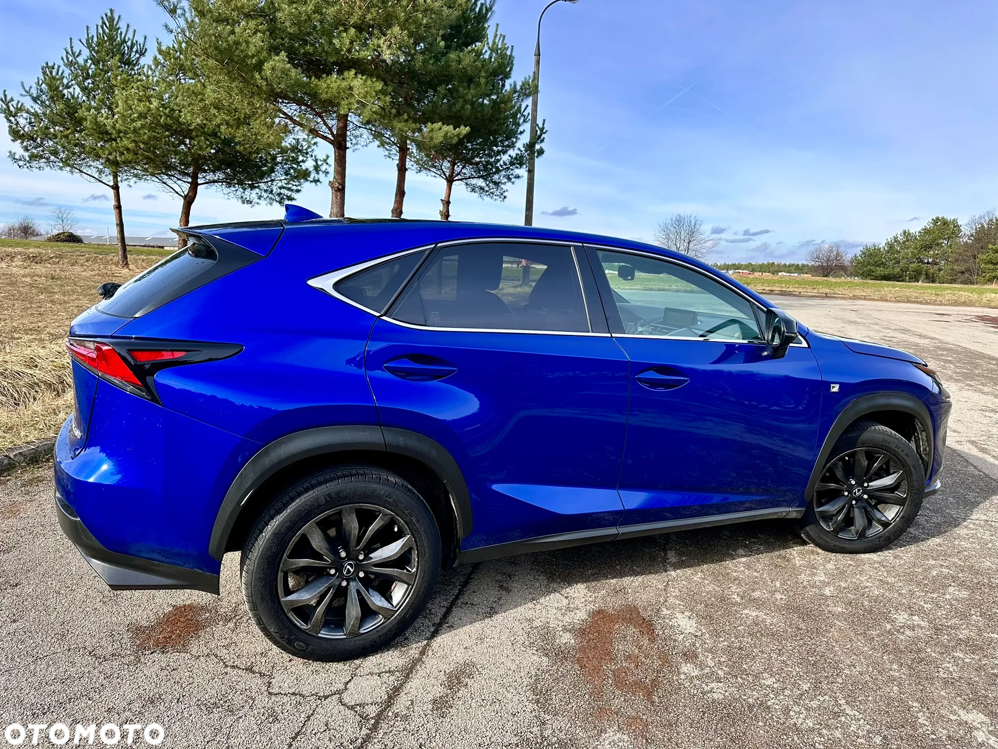 Lexus NX 300 F Sport AWD - 25