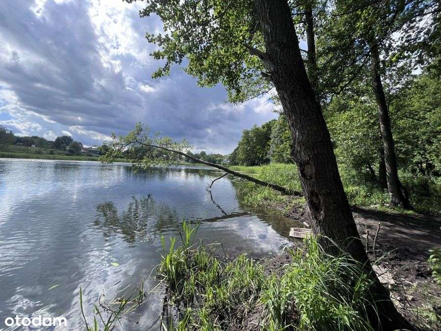 Posiadłość Nad Stawem Klasztorym - Pełny obrazek: 5/8