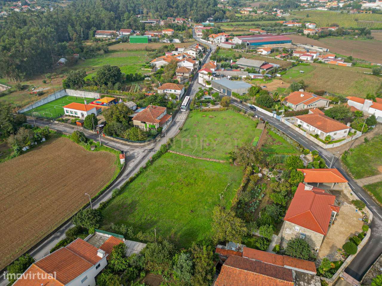 Terreno de construção em Alvito S. Martinho.-11