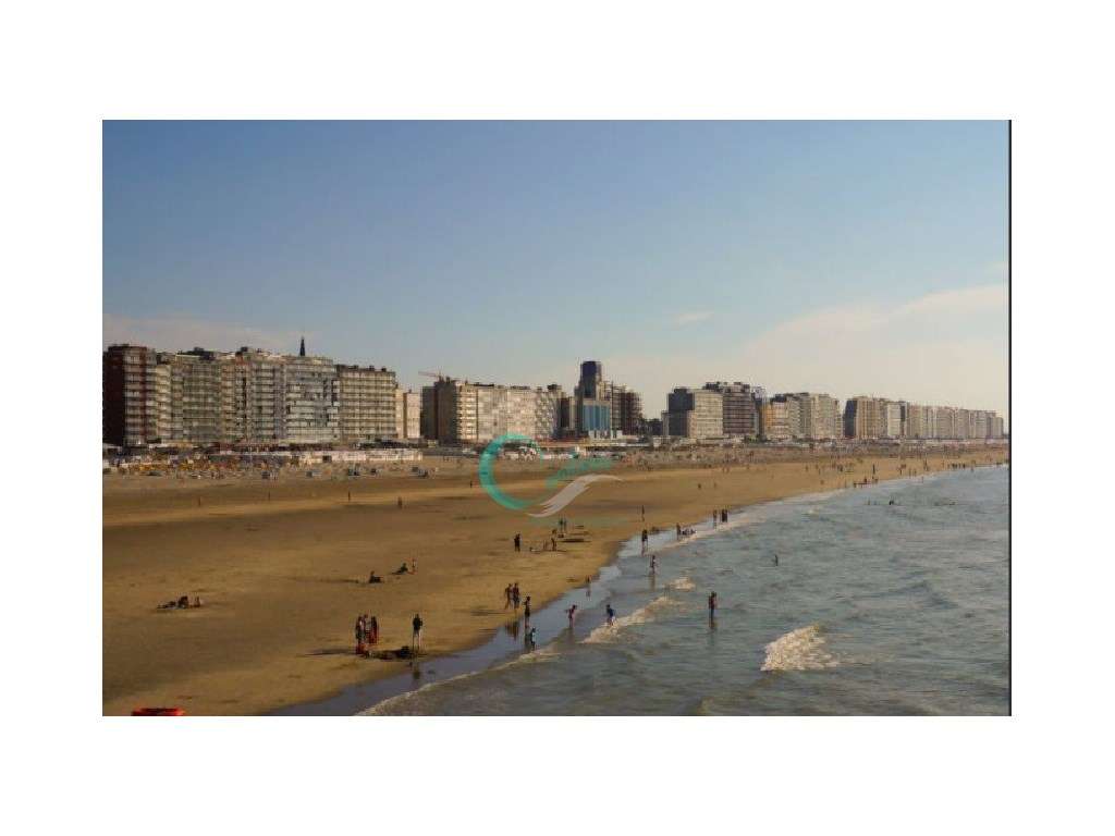LOJA MATOSINHOS SUL - Grande imagem: 5/13