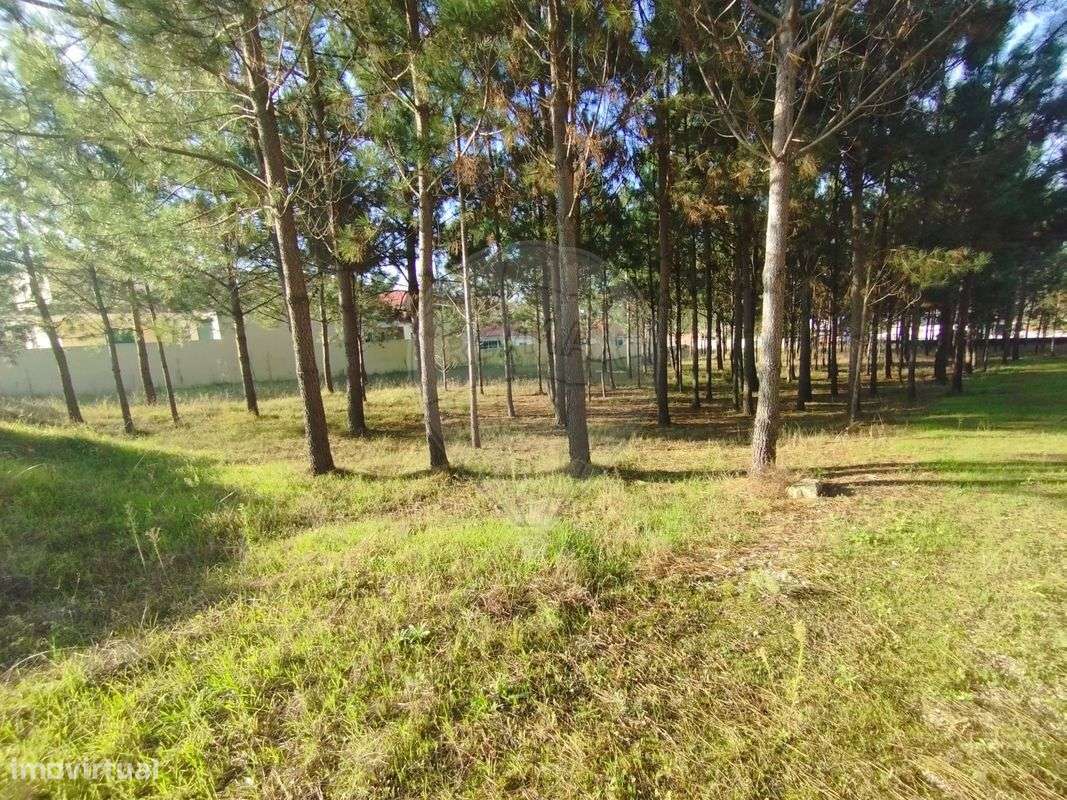 Terreno  para venda - Grande imagem: 5/14