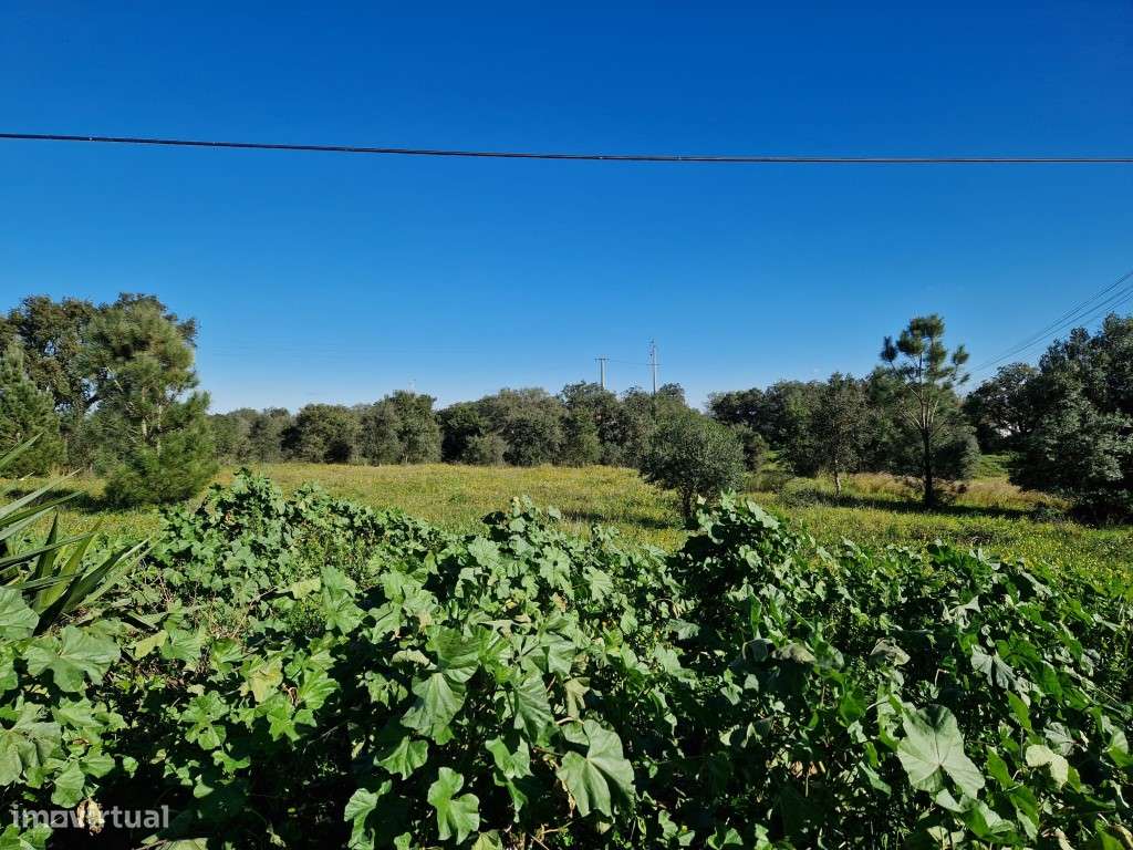 Terreno Paderias - Grande imagem: 4/8