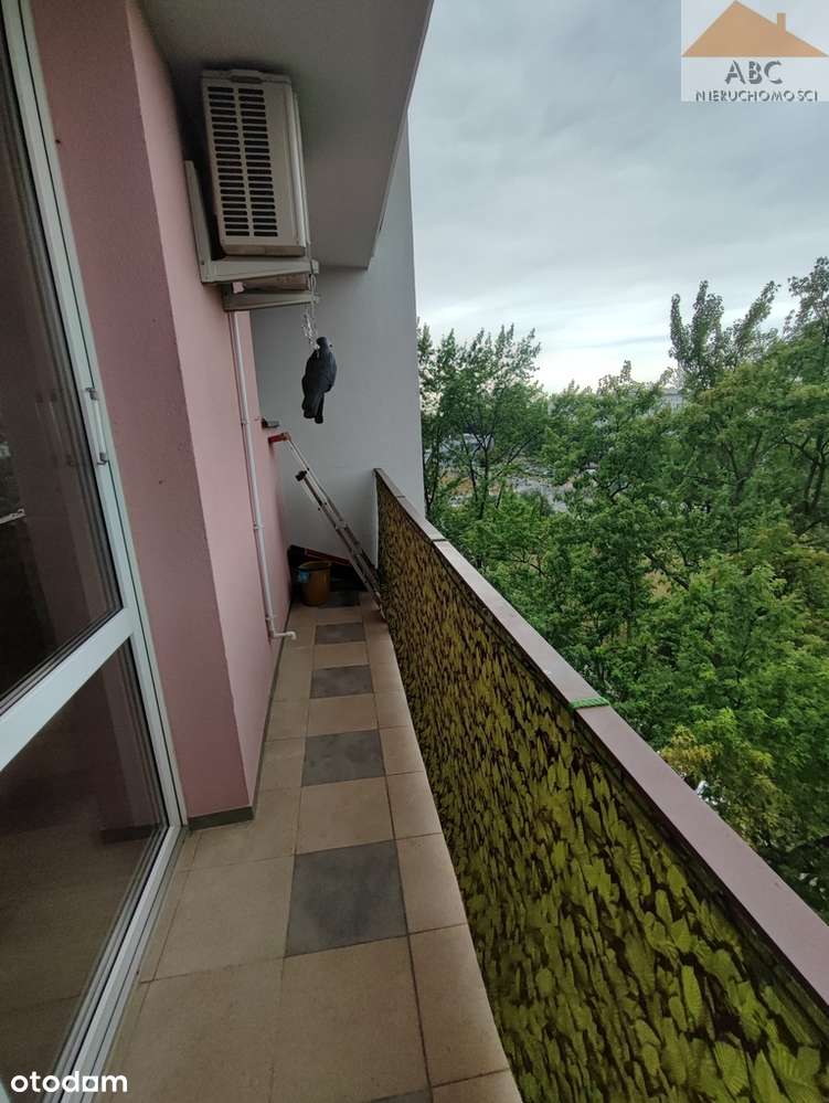 Wojska Polskiego 2 pokoje-11