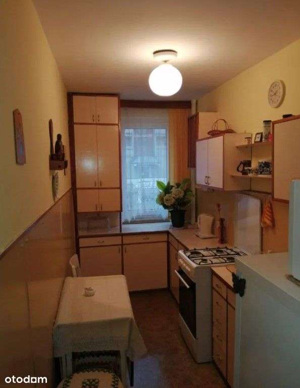 Przestronne i jasne mieszkanie w centrum Malborka - Pełny obrazek: 5/8