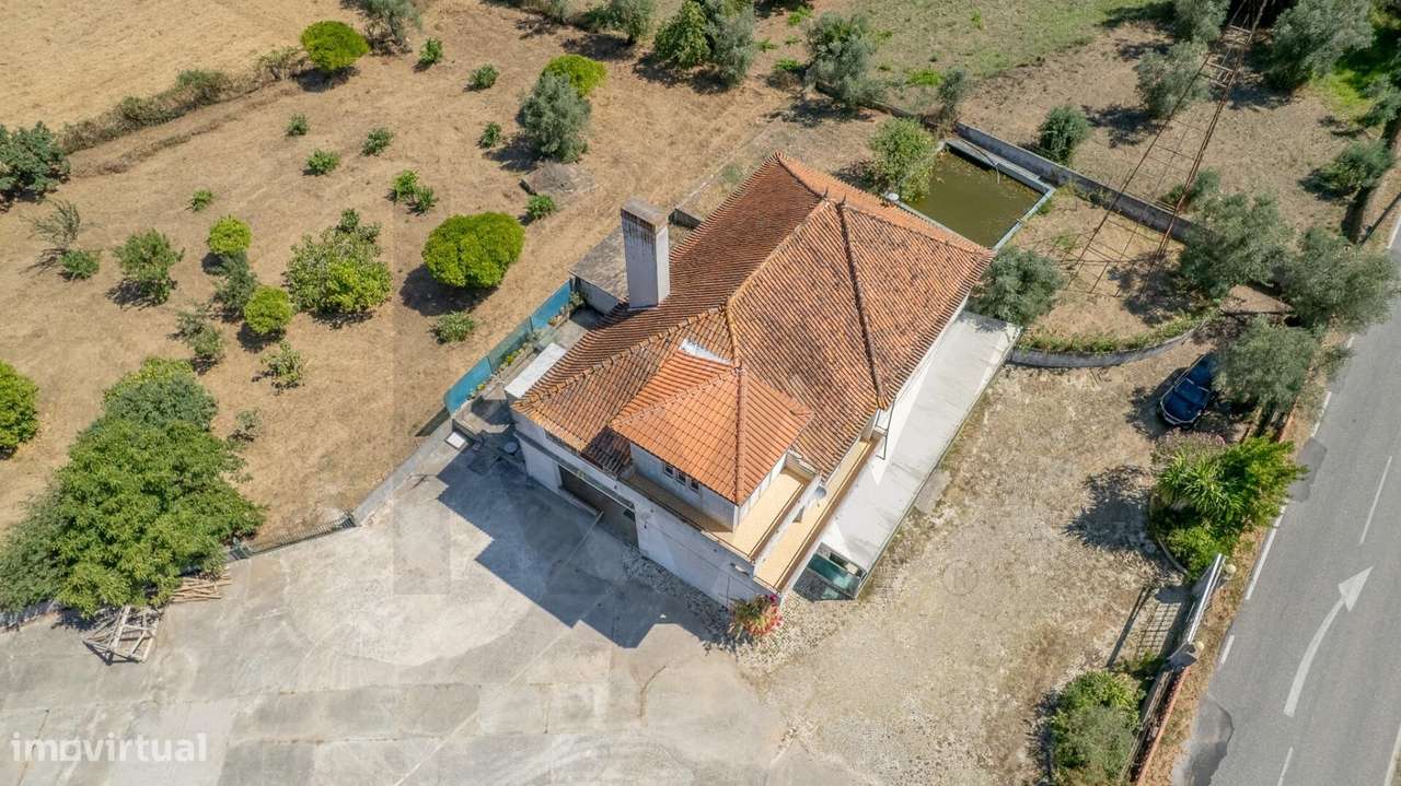 Quinta com 14.920m2 com Moradia T6 e Café em Tomar-54