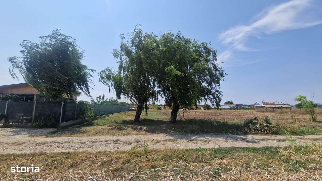 550 mp situat in COMUNA 1 DECEMBRIE, ILFOV-2