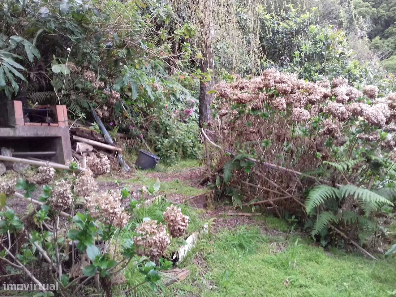 Terreno rústico  próximo da Ribeira do Guilherme - Grande imagem: 5/6