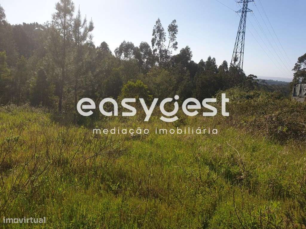 Terreno para Construção/ Espiríto St. das Touregas - Grande imagem: 2/3