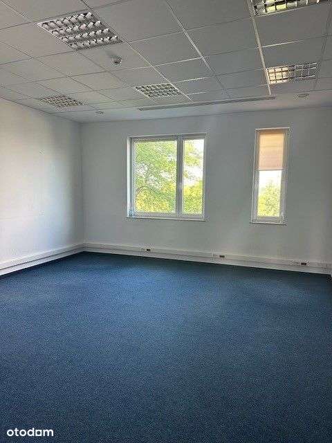 Biuro 75 mkw. - atrakcyjne warunki najmu! - Pełny obrazek: 3/10