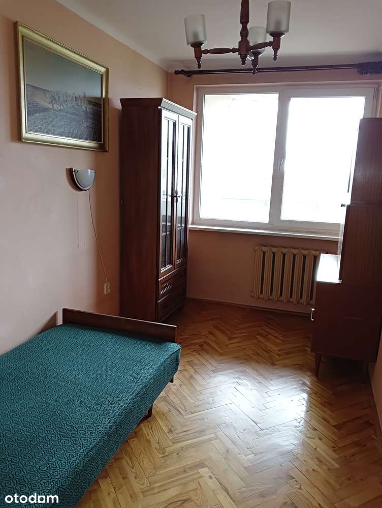 Bezpośrednio, mieszkanie 4 pokoje, centrum Płońska - Pełny obrazek: 4/13